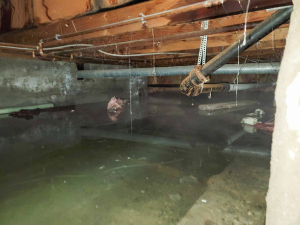 Water damage restoration insurance claims in Claremore, OK